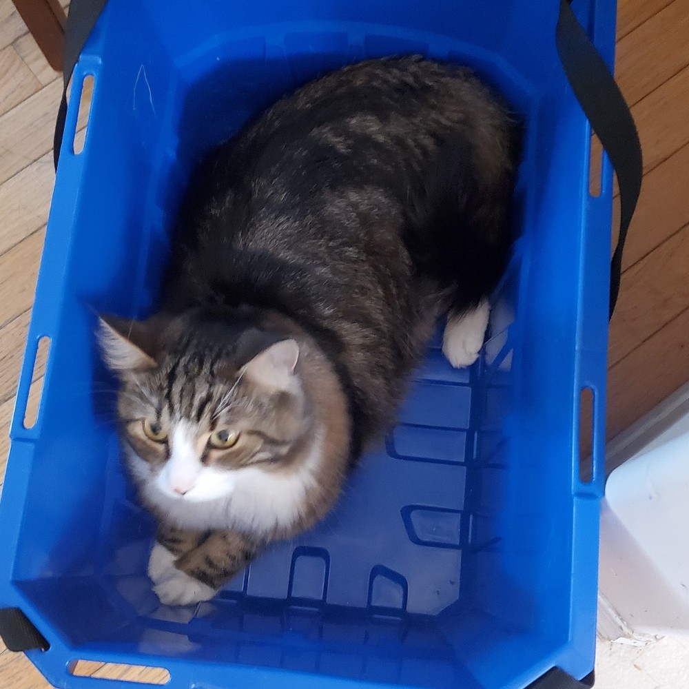 Meet your Posher, Eli